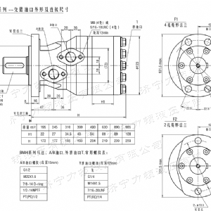 BMH系列交错油口米兰体育平台马达